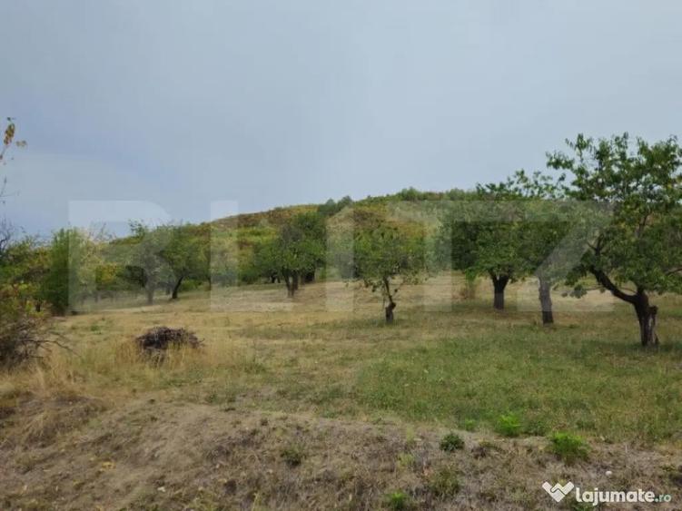 Teren extravilan 17524 mp, expunere sudica, Viforata - 4