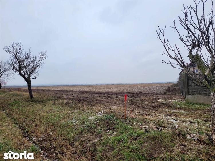 Teren intravilan,Calea Aradului,zona aeroport, Oradea - 2