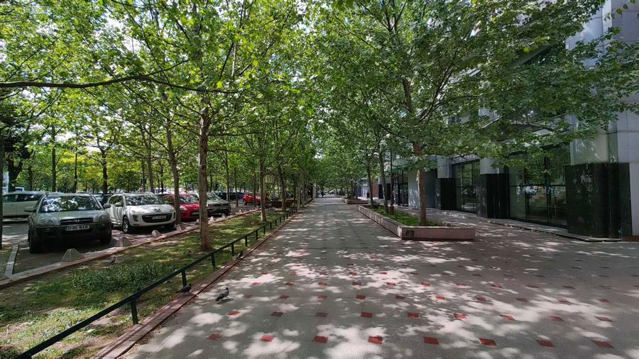 Apartament 3 camere de vanzare Unirii I Nerva Traian - 3