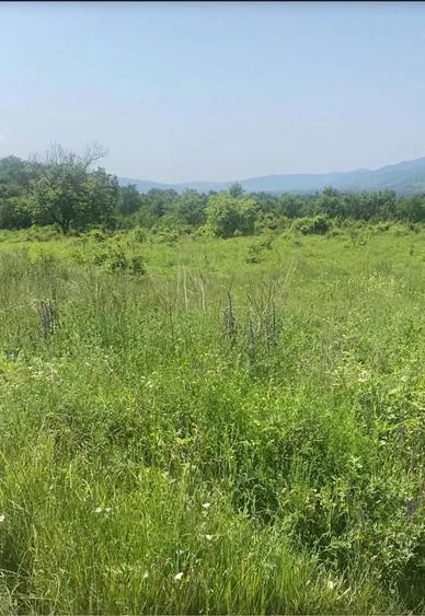 Teren de 2500 mp, în Central