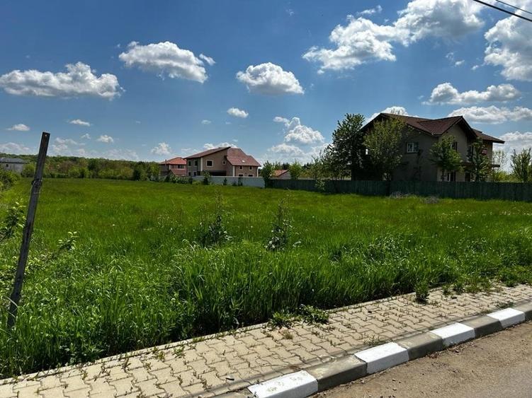 Teren Snagov - strada Zorelelor - parcelat, deschidere 31,7ml - 1