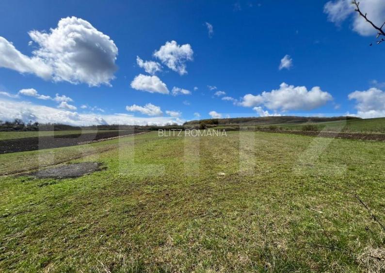 Teren extravilan de vanzare 25 ari, panorama superba, Teren extravilan de vanzare 25 ari, panorama superba,