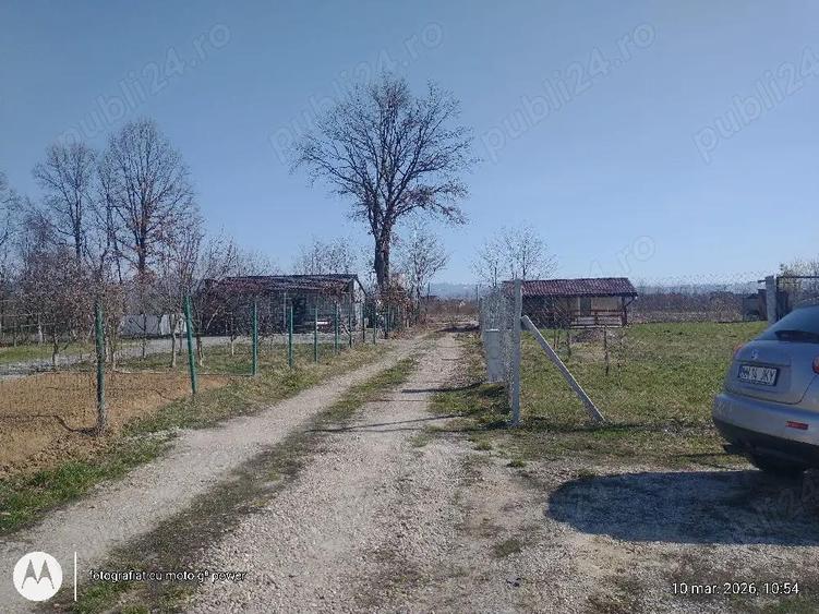 Lapusel zona de case noi,9 ari ari intravilan - 6