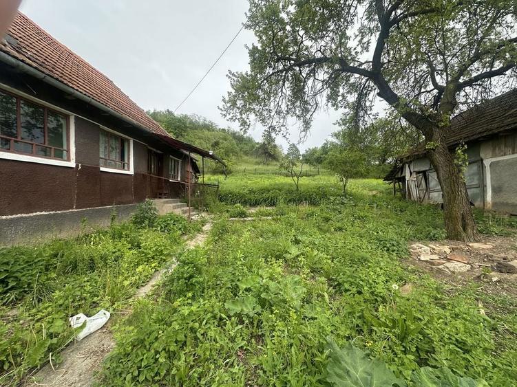 Casa, anexa si teren intravilan - 5
