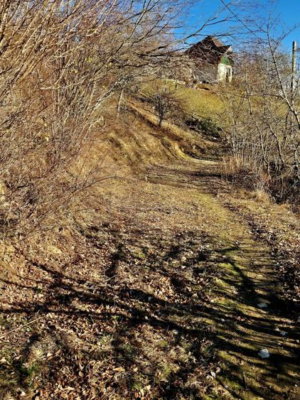 Teren de vânzare în sat Măgura/ Brasov– loc pentru familie, liniște și suflet - 30