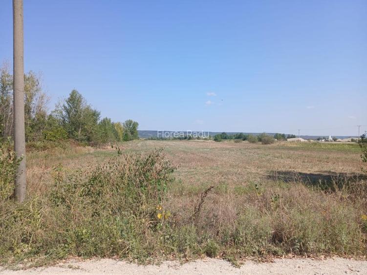 Teren comuna Cateasca, Lunca Argesului (langa balastiera) 9000mp