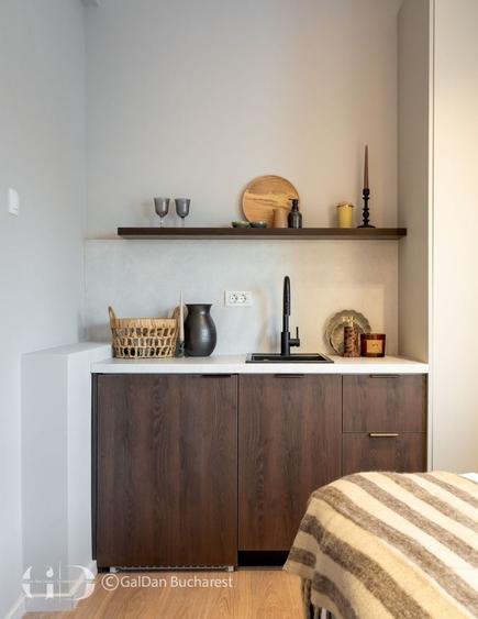 PRIMA INCHIRIERE STUDIO GRADINA ICOANEI - 8