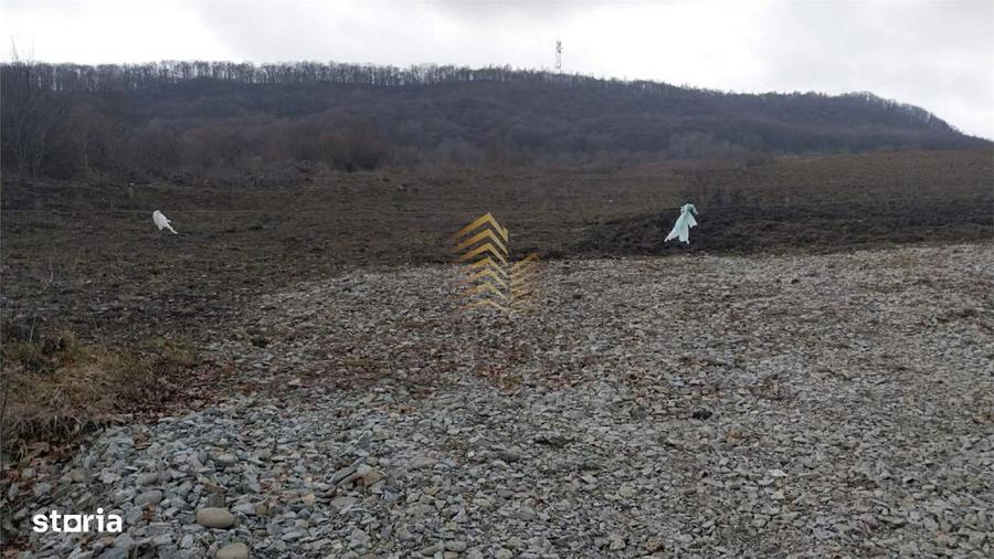 TEREN EXTRAVILAN - 1