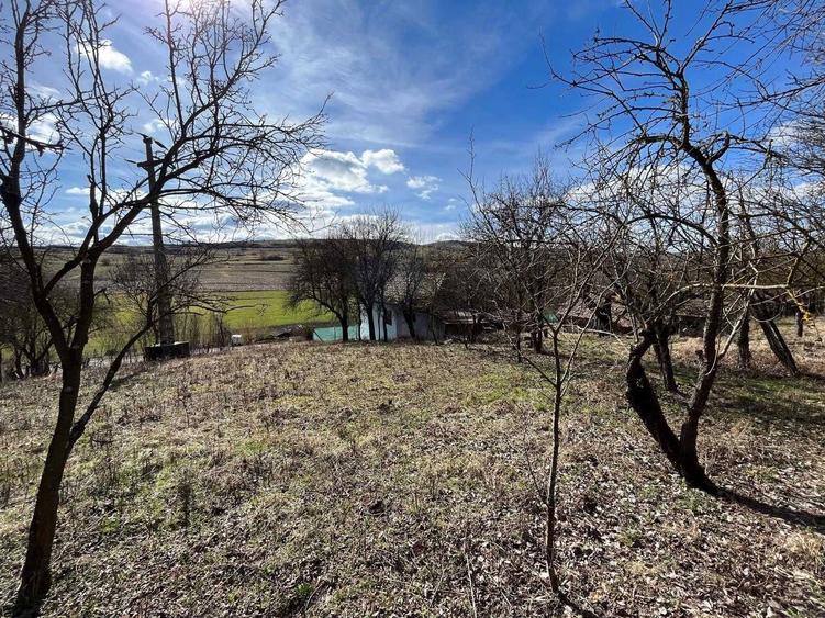 Casa cu Teren Extins Liniste, Natura si Spatiu Generos - 8