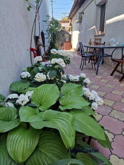 Sos. Viilor - in spatele spit. Marius Nasta casa 4 camere, toate utilitatile - 9