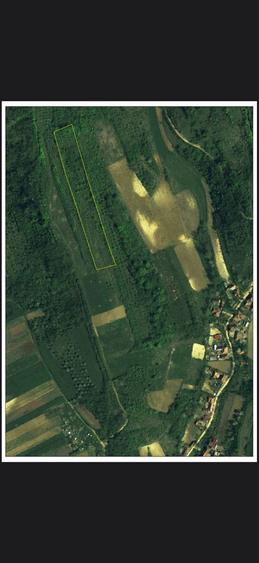 Teren 8114 mp lupoaia holod livada cf+topo acces auto aproape de sat - 1