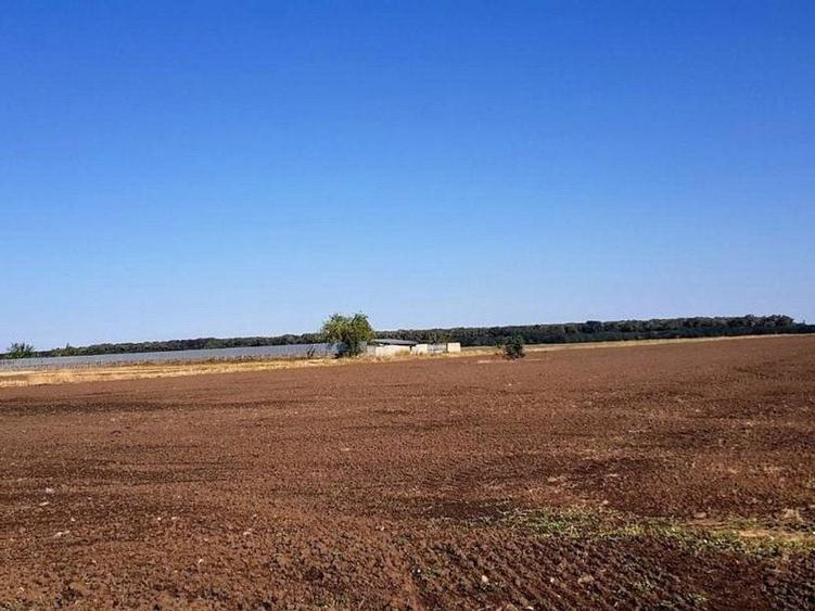 Branesti teren intravilan 30700 mp - 5