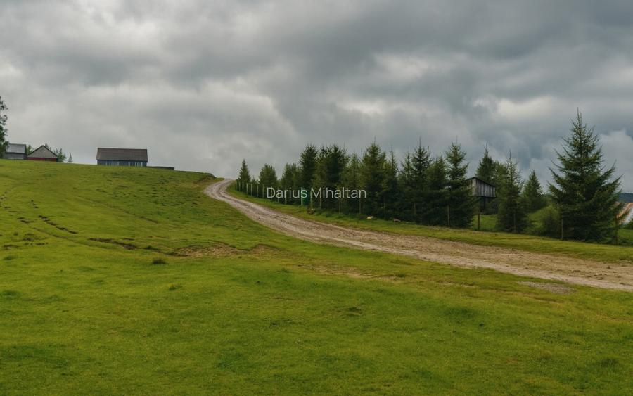 Teren 673mp cu PUZ in Paltinis