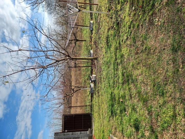 Casa cu 3 camere - 1