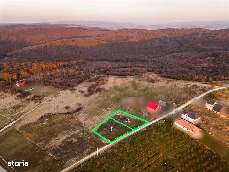 RECO Teren intravilan in Saldabagiu de Munte - 2