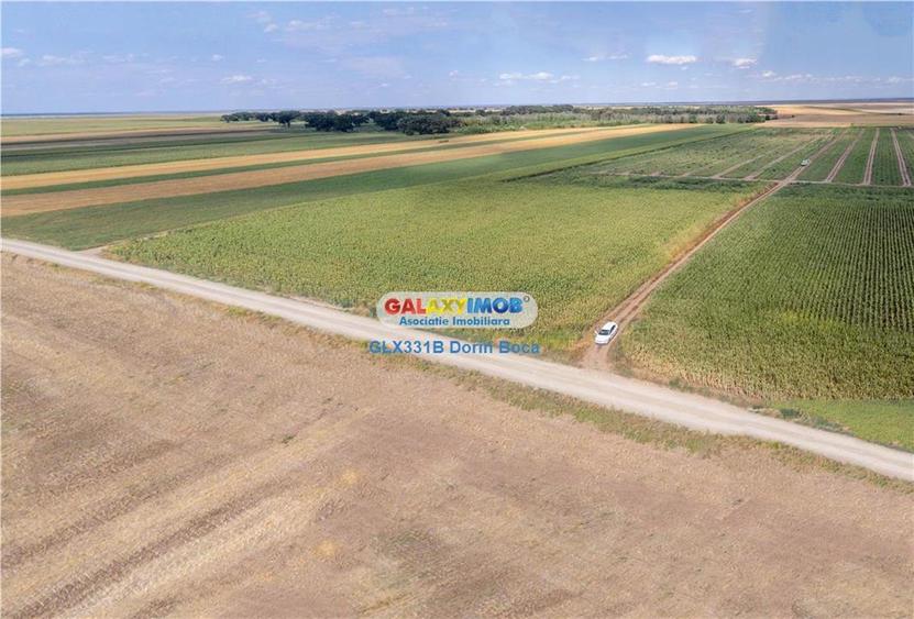 Teren agricol extravilan 2.6 ha - 26.000 mp - Valcelele, Buzau - 7