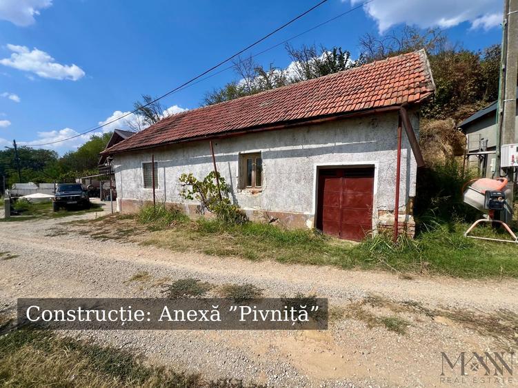 Pivnita + parcela de vie | de vanzare | Uileacu de Cris, Bihor - 1