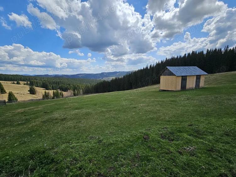 Teren de vanzare 15 hectare in Bucovina Moldova Sulita zona Lucina - 2