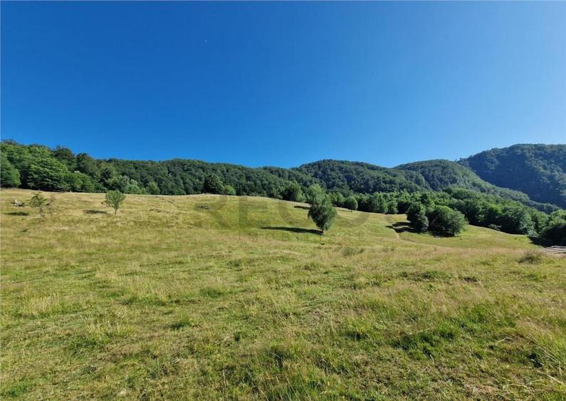 RECO teren extravilan Remeti - 2