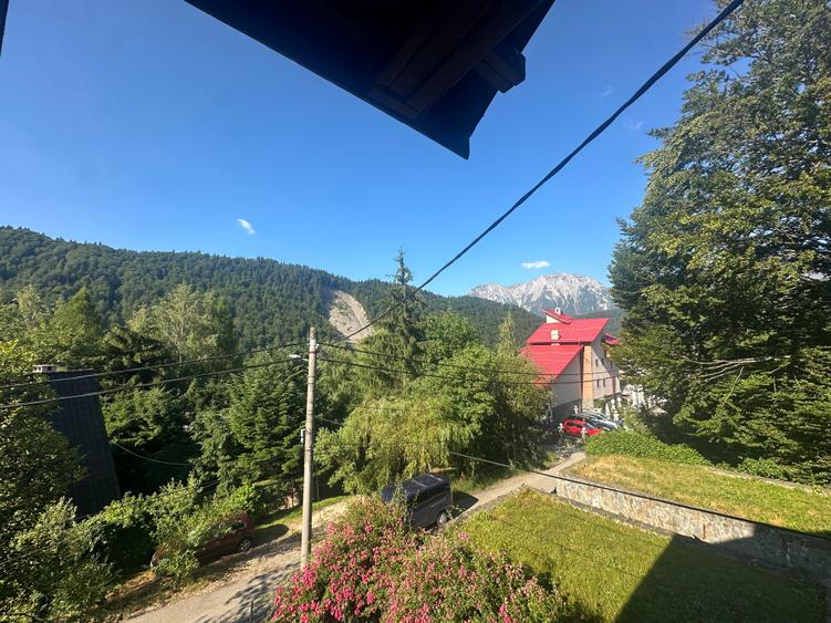 Azuga - Strada Garbovei - 22