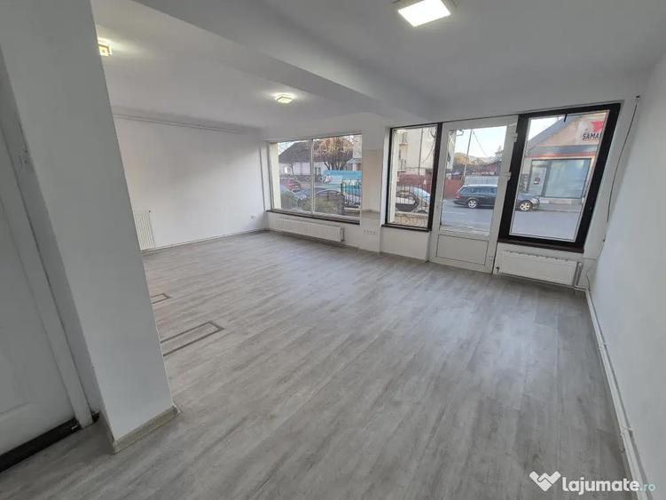 Inchiriez spatiu comercial zona Calea Dumbravii - 2