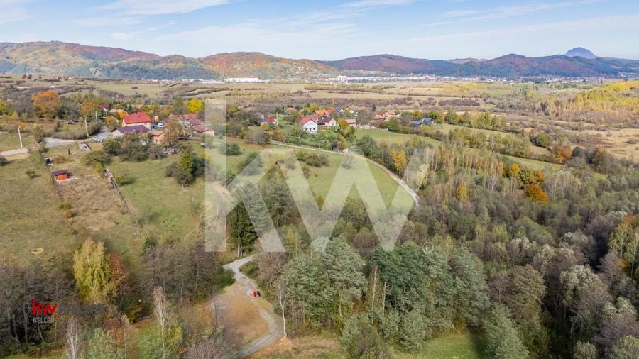 Vanzare teren intravilan 37723 mp Zarnesti Tohanita - 12