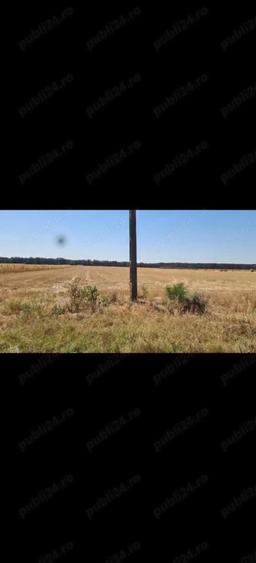 Teren Bucovat, sat Carligei - 2