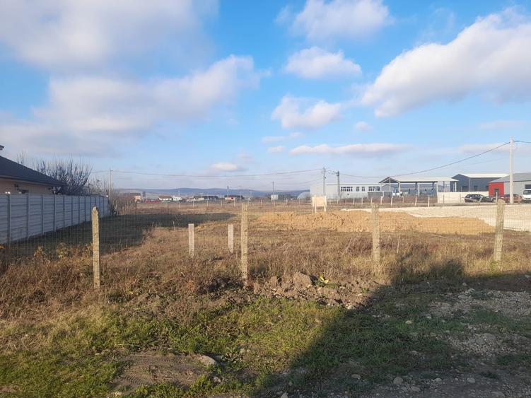 Vand teren Osorhei - 2