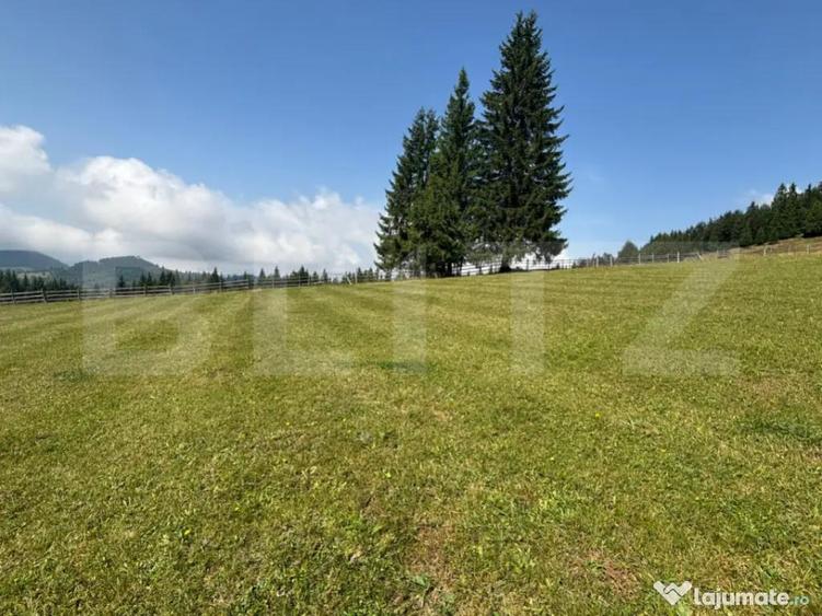 Vanzare teren intravilan de 2 hectare, in Pasul Tihu?a - 7