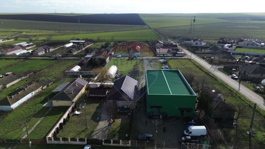 Hala industriala de vanzare in Poiana-Ovidiu - 5
