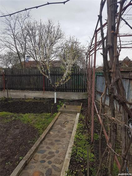 Casa cu iaz jud Teleorman - 2