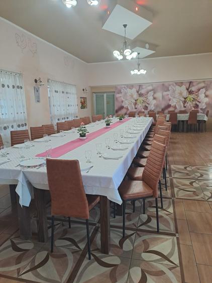 Hotel/Pensiune, de 15 mp, în Bereni