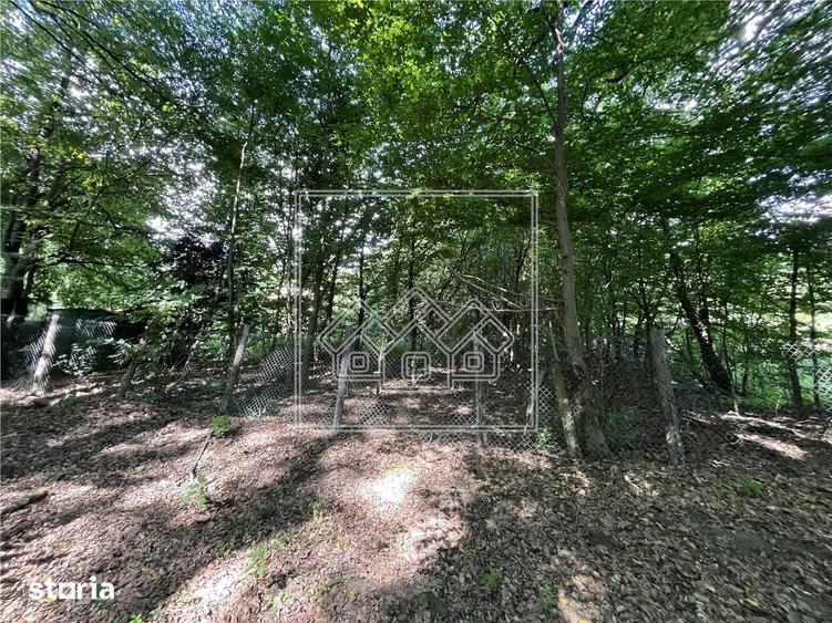Teren in Cisnadie - 1.500 mp, inainte de Tocile, acces la drum, invest - 1