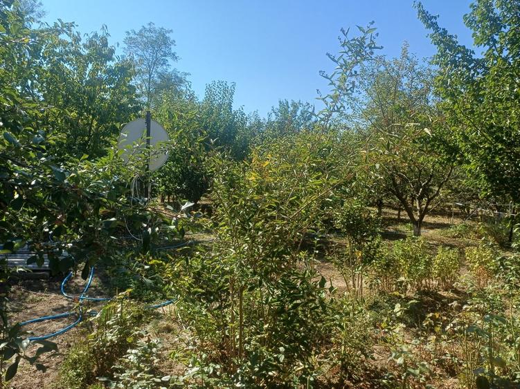 Casă cu 4 camere în Rasa