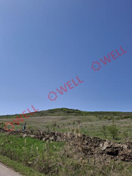 Teren agricol extravilan de 60000 mp, în Agrișteu