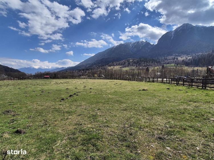 Oportunitate investitie resort/complex /pensiune ,Plaiul Foii Zarnesti - 6