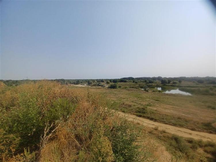 Teren extravilan de 38000 mp, în Adunații-Copăceni