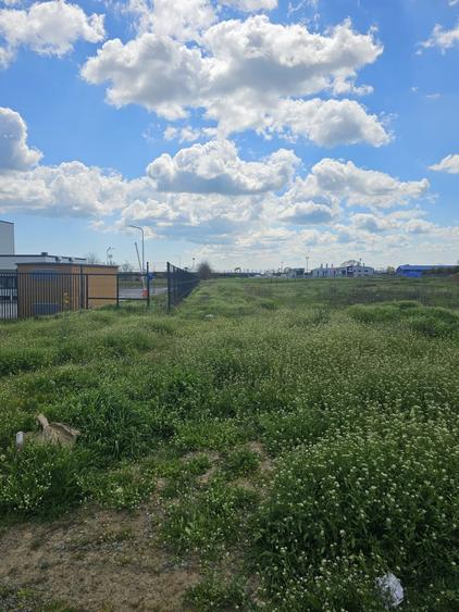 Teren Construcții intravilan de 2405 mp, în Palas
