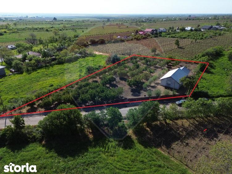 Casa cu 3094mp livada Cotesti - 7
