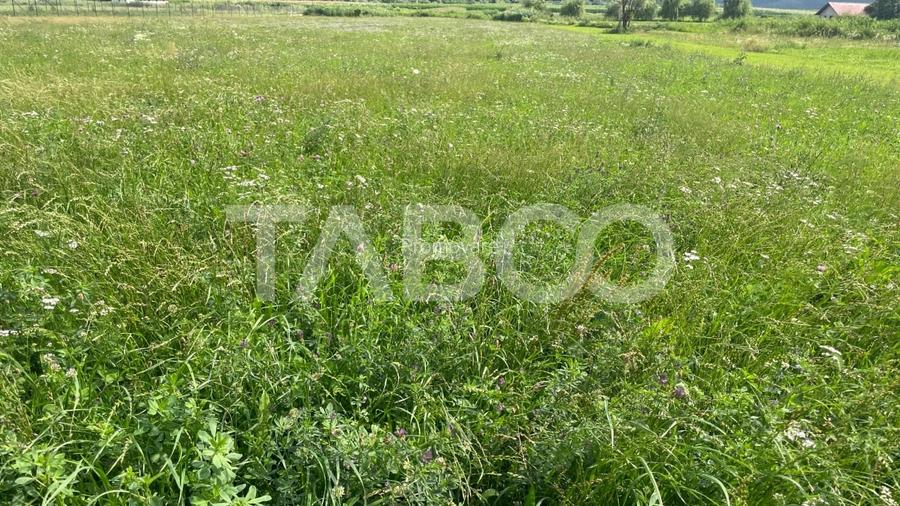 Teren intravilan 3450 mp Boita, 35 m deschidere, la 700 m de A1