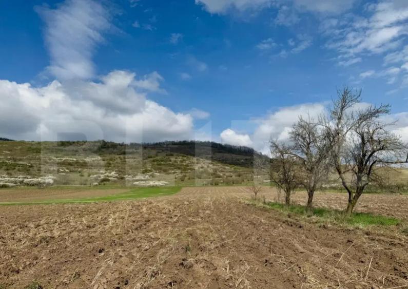 Teren intravilan de vanzare, 1500 mp, zona ?oimu? - 1