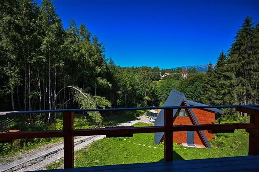 Ansamblu tip A frame, Moieciu de Jos, 2025 - 19