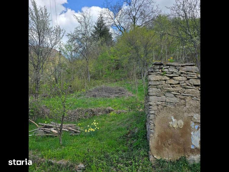 Teren de vis cauta proprietar. - 13