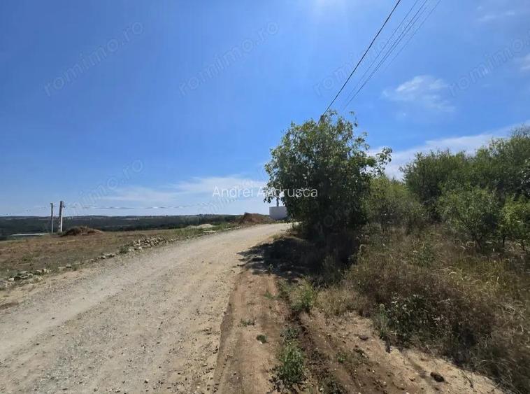 Teren Paleu Intravilan