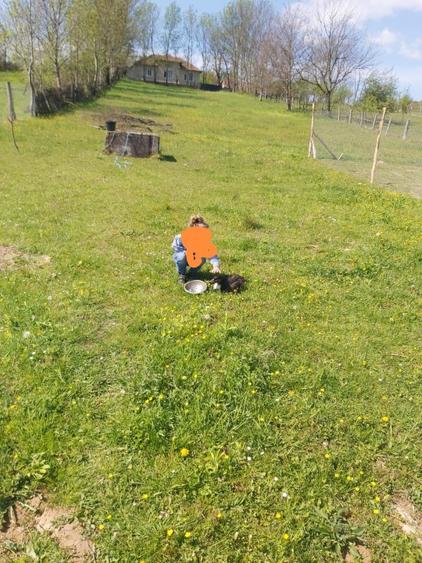 Teren intravilan 1900mp Izbuc - 2