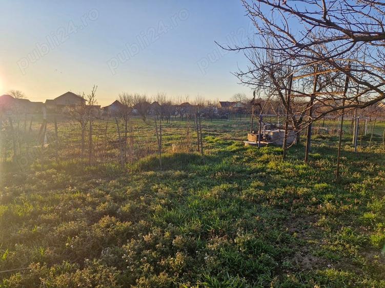 Casa de vanzare in Pancota - 10