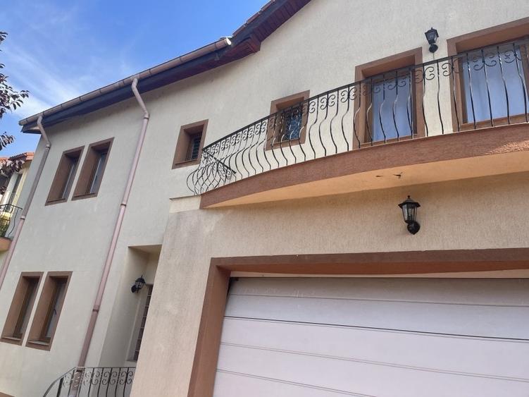 Vila individuala 7 camere de vanzare/inchiriere Iancu Nicolae - 1