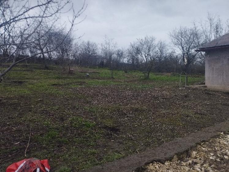 casa 2 camere,vedere la padure,dumbraveni,constanta. - 6