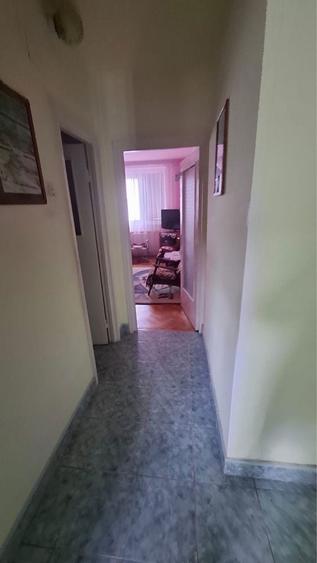 Vand apartament Ludus - 8