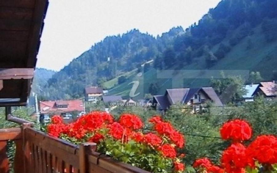 Pensiune turistica Moeciu, Cheia, 10 camere - 6